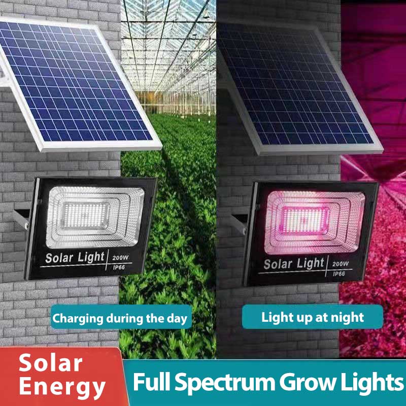 Güneş Enerjili LED Bitki Yetiş - Renewable Energy Project incelemesi ve fiyatı