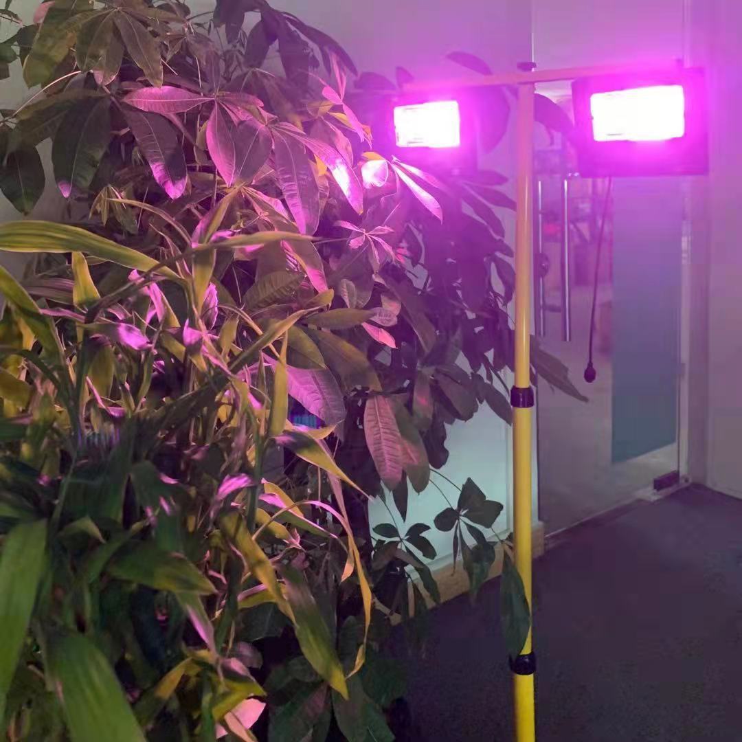 Güneş Enerjili LED Bitki Yetiş - Renewable Energy Project incelemesi ve fiyatı